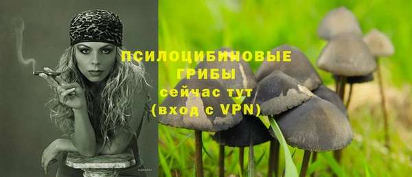 тгк Баксан