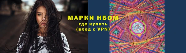 индика Балахна