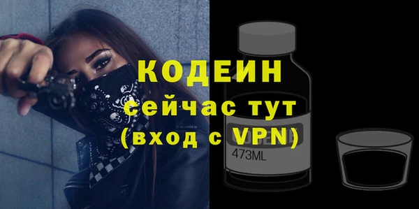 индика Балахна