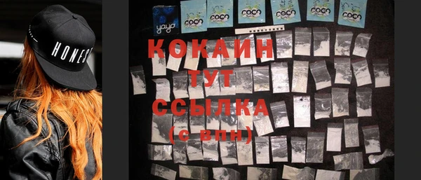 индика Балахна